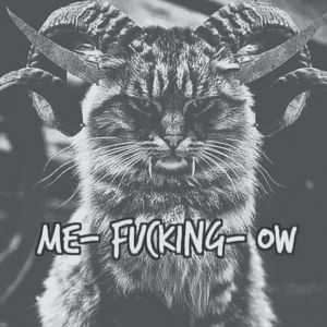 Meet your Posher, Illest